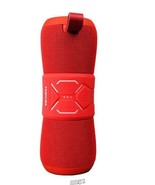 Toshiba Bluetooth Speaker Red - €72,87 EUR