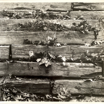 c1970 Original Wood Fence Steven Willhite Glen Ellen IL Black White Photograph - £11.82 GBP