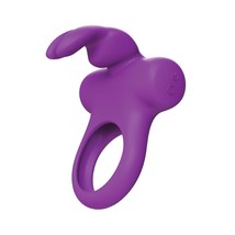 Frisky Bunny Vibrating Ring, Purple - $64.99