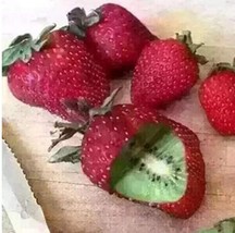 300PCS hailand Strawberry ‘Kiwi’ Seed Organic Sweet Fruit - £7.86 GBP