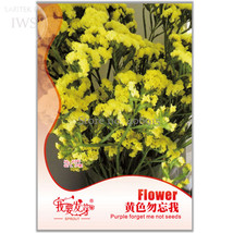 Yellow Forget Me Not Flower 35 Garden - $6.22