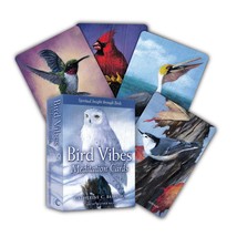 Bird Vibes Meditation Cards: Spiritual Insight Through Birds (A 54-Card Deck and - £16.70 GBP