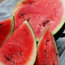 New Fresh Seeds Sugar Baby Watermelon 10 Seeds Ice Box Melon Small Sweet Fruit B - $9.36