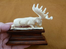 moose-25 white Moose Elk bull running shed ANTLER figurine Bali detailed... - £62.36 GBP