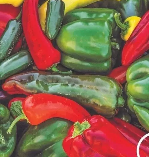 120+ Sweet &amp; Spicy Pepper Mix Seeds ----  FRESH - $3.87