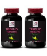 Tribulus Extract - TRIBULUS TERRESTRIS EXTRACT - Standardized Tribulus 2... - €24,36 EUR