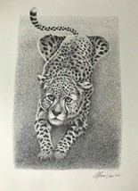Marvin Davis Wildlife Sketch Cheetah Animals Unframed 17x22 10/5/75 - £23.25 GBP