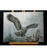 Spotted Owl Bird Art Made USA Canvas Giclee Gallery Wrapped Print 12 X 1... - £43.43 GBP