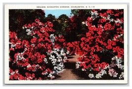 Azaleas in Middleton Gardens Charleston SC V-Mail Linen Postcard V12 - £2.84 GBP