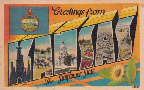 Primary image for Greetings From Kansas Large Letter The Sunflower State Postcard B07