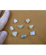 (O-240-2) blue red green Coober Pedy opal freeform 8 specimens stone Aus... - $323.66 CAD