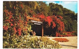 Florida Postcard St Petersburg Sunken Gardens Entrance - £1.69 GBP