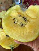 20 Lemon Drop Watermelon Seeds From US - $8.50