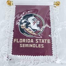 Florida State University Seminoles Mini Hanging Banner w/Suction Cup FSU New - £5.23 GBP