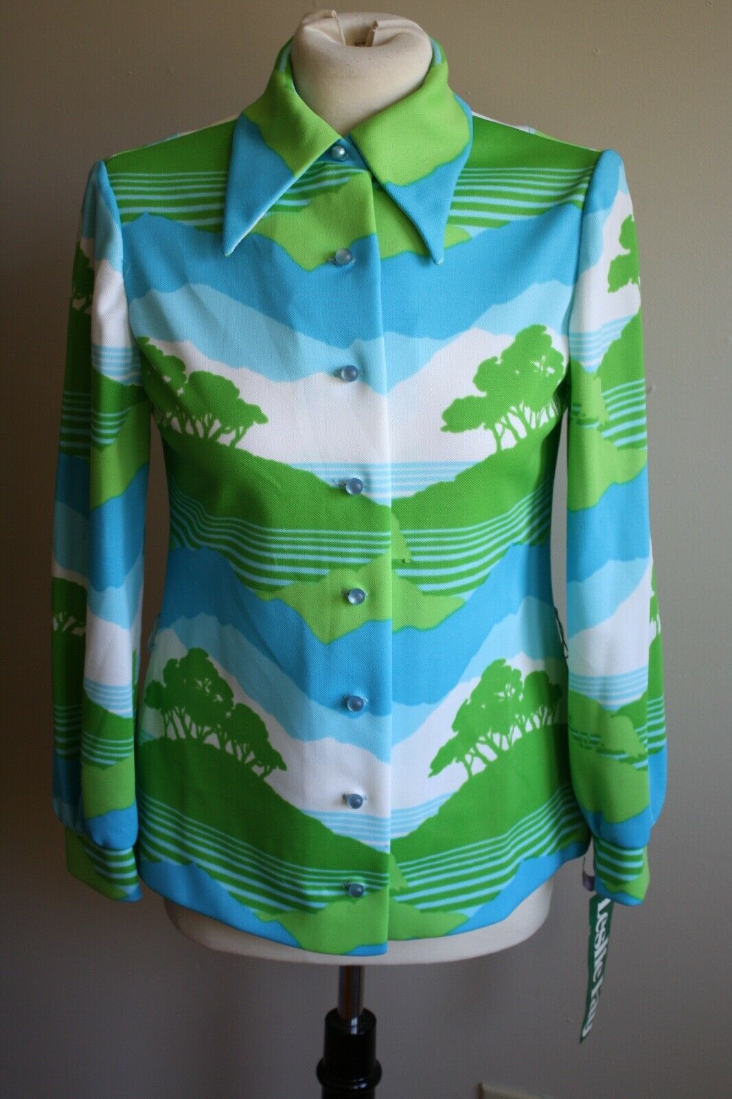 Primary image for NWT Vtg 70s Leslie Fay Knits 10 Landscape Blue Green Long Sleeve Top