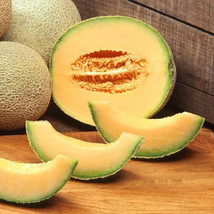 HT Edisto 47 Cantaloupe Seeds 20 Seeds Non-Gmo 1051 Garden Seeds - $186.58 MXN