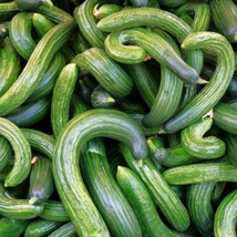 Metki Dark Green Armenian Cucumber Seeds Serpent Yard Long Snake Melon Wild Kakr - £5.93 GBP