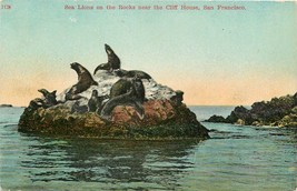 DB Postcard CA D763 Sea Lions on the Rocks near the Cliff House San Fran... - £3.88 GBP