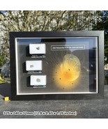 Framed Set of 3 Genuine HED Meteorites from Asteroid Vesta | High Qualit... - $160.44