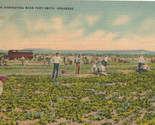 Spinach Harvesting near Fort Smith, Arkansas - Vintage Linen Postcard - $5.36