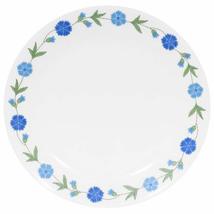 Corelle Livingware 10-1/4-Inch Dinner Plate, Spring Blue - £18.36 GBP