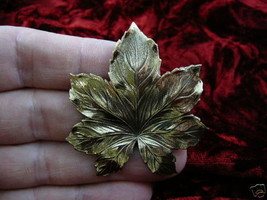 (b-leaf-4) Maple leaf Victorian repro BRASS pin pendant brooch WOW love maples - £14.18 GBP