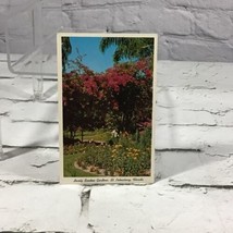 Sunken Gardens St Petersburg Florida Vintage Postcard - £5.41 GBP