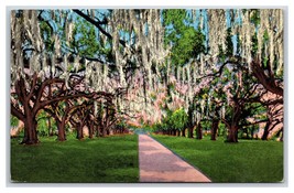 La Ronde Oaks Versailles Plantation New Orleans Louisiana UNP Linen Postcard Y6 - £3.12 GBP