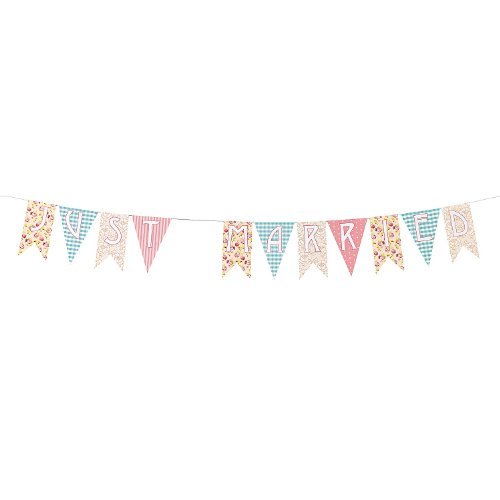 Cardboard Vintage Collection Just Married Pennant Banner - $5.87
