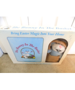 The Bunny In The Basket By Kelly Dengler Book &amp; Plush Bunny--FREE SHIPPING! - £15.65 GBP