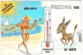 Comic Postcard Florida Suntanning Freezing Ass - £2.32 GBP