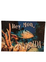 Florida Postcard New Underwater Ocean Image - $4.25