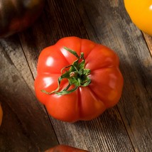 50++ Organic Red Floradel Tomato Seeds Heirloom - Hột Cà Chua - 2023 Season - £2.47 GBP