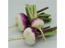 Rutabaga , American Purple Top Rutabaga Seeds, Heirloom, Non GMO, 50+ Seeds - £1.56 GBP