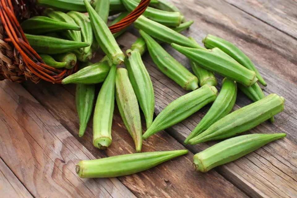 BPASTORE 100 Emerald Okra Seeds Online - $9.44
