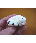 tne-liz-ig-439a) white IGUANA lizard TAGUA NUT Figurine carving Vegetabl... - £20.88 GBP