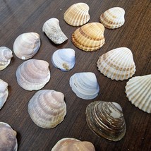 Item image 15