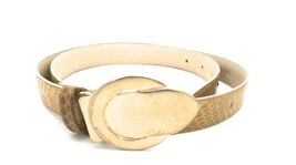 Vintage Belt Taupe Snakeskin  Gold Buckle Large 198’S - $22.72
