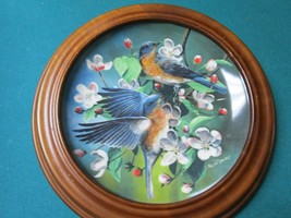 Encyclopaedia Britannica Birds Plates Wooden Frame Blue Birds - Goldfinch PICK1 - £36.44 GBP