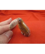y-bir-to-40) little tan red Toucan tropical bird soapstone carving love ... - $161.90 MXN