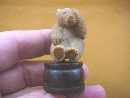 (tb-bear-1) brown Grizzly Bear cub Tagua NUT palm figurine Bali carving bears - £38.89 GBP