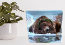 Paperproducts Bear Reflected Square Plate Two Can Art Design Nature Inspired - £10.92 GBP