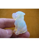 (Y-DOG-AI-555) little WHITE WIRE FOX AIREDALE Terrier dog gemstone figur... - $25.64 CAD