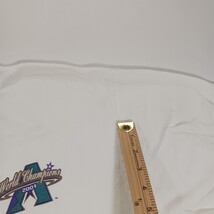 Vintage 2001 Arizona Diamondbacks World Champions MLB T-Shirt Hanes White XL image 5