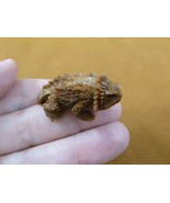 tb-liz-56 Horned Lizard Tagua NUT palm figurine Bali detailed horny toad - $91.91 CAD
