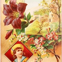C1890s Victorian Trade Card Castle Beautiful Landscape Flowers Embossed ... - $24.99