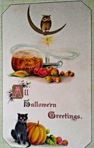 Halloween Postcard Owl Crescent Moon Black Cat Pumpkins Fantasy Gottschalk 2399 - £45.21 GBP
