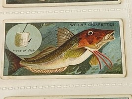 WD HO Wills Cigarettes Tobacco Trading Card 1910 Fish Bait Lure #43 Gurn... - $19.69