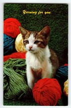Calico Kitten Cat With Yarn Ball Postcard Chrome Unposted Dexter Yarning... - £7.13 GBP