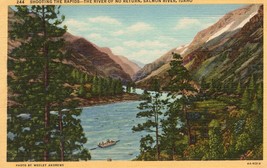 Shooting the Rapids Unposted Linen Postcard Salmon River Idaho - $14.84